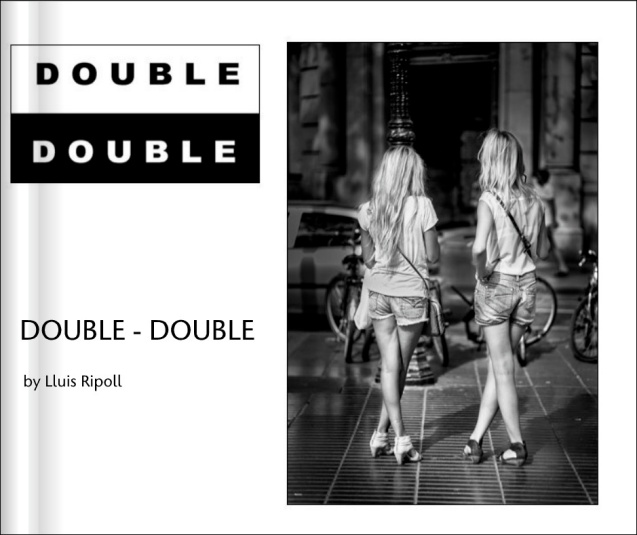DOUBLE-DOUBLE BOOK